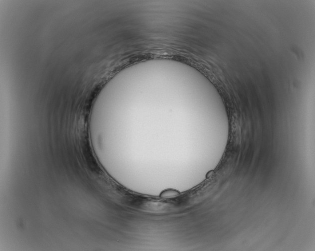 X0000113600614200909181110