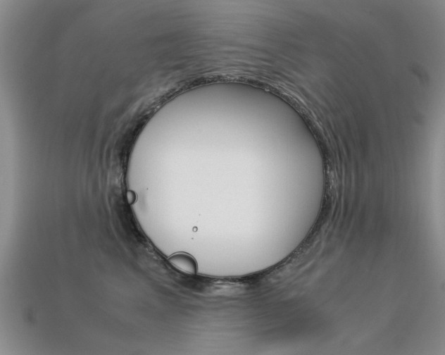 X0000113600617200909181110