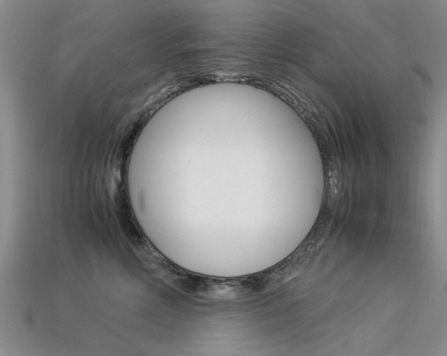 X0000113600618200909181110