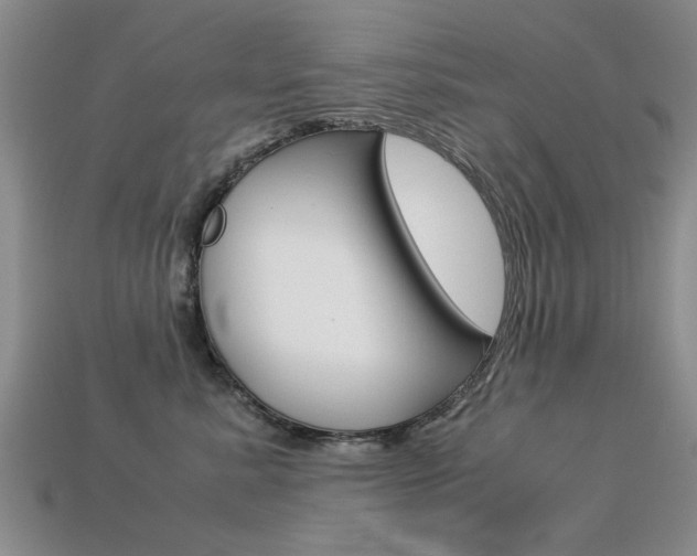X0000113600619200909181110