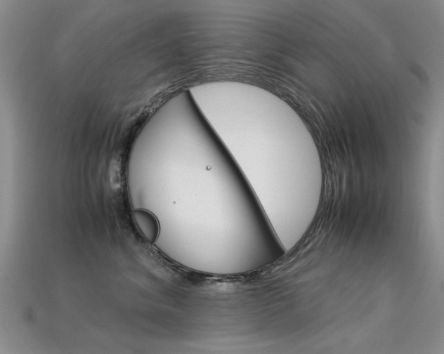 X0000113600620200909181110