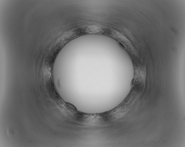 X0000113600621200909181110