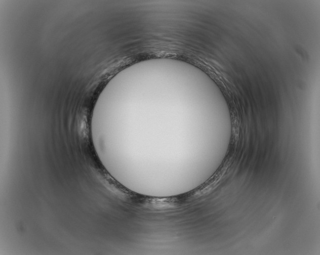 X0000113600622200909181110
