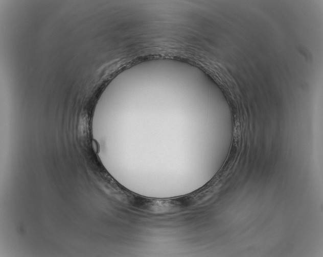 X0000113600623200909181110