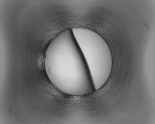 X0000113600624200909181110
