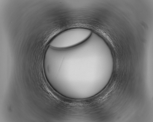 X0000113600625200909181109