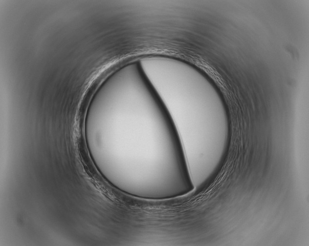 X0000113600628200909181109
