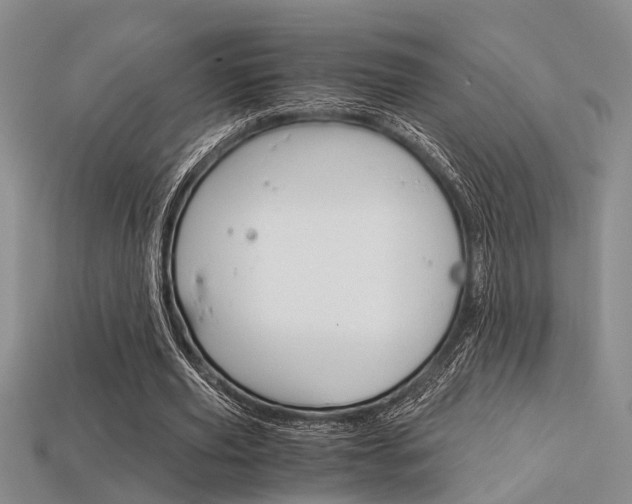 X0000113600629200909181109