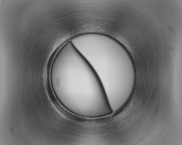 X0000113600630200909181109