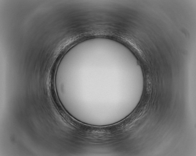 X0000113600631200909181109