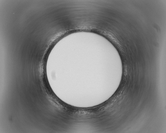 X0000113600632200909181110