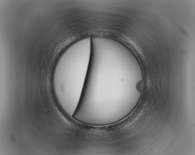 X0000113600633200909181110