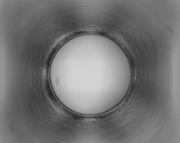 X0000113600636200909181110