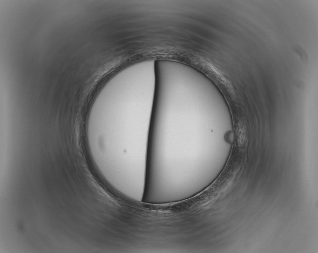 X0000113600637200909181110