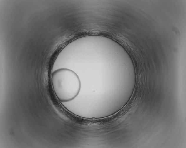 X0000113600638200909181110