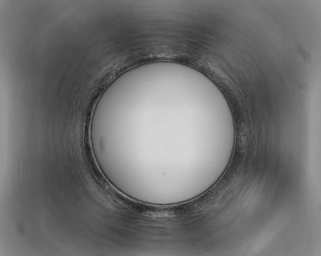 X0000113600639200909181110