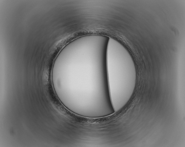 X0000113600640200909181110