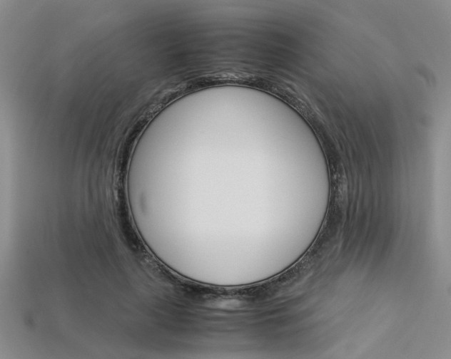X0000113600643200909181110