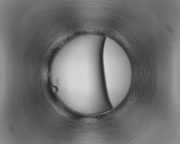 X0000113600644200909181110