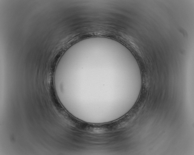 X0000113600645200909181110