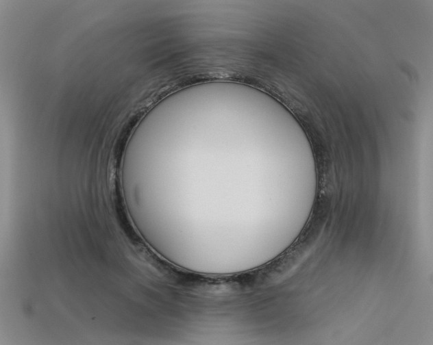 X0000113600646200909181110