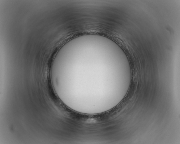 X0000113600647200909181110