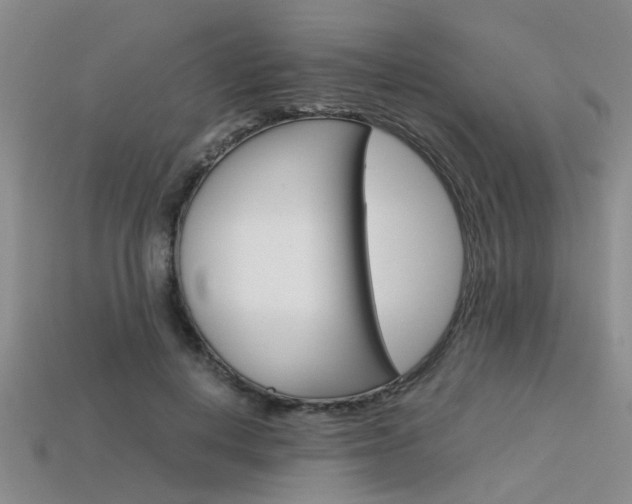 X0000113600648200909181110