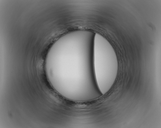 X0000113600650200909181110