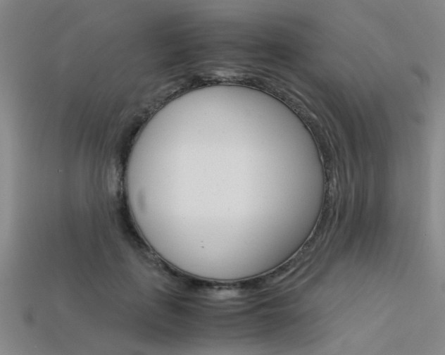 X0000113600651200909181110