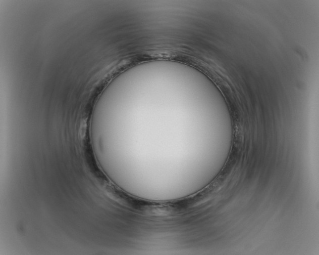X0000113600652200909181110