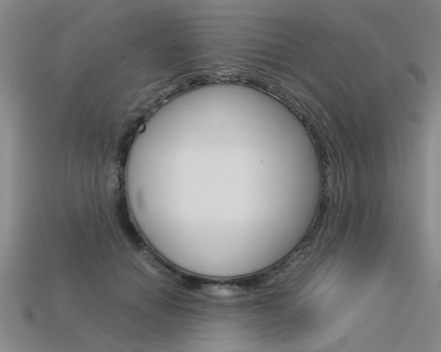 X0000113600654200909181110