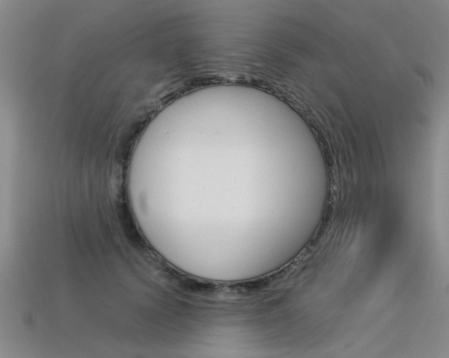 X0000113600656200909181110