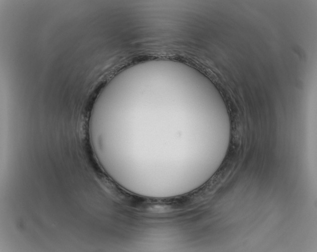 X0000113600658200909181110