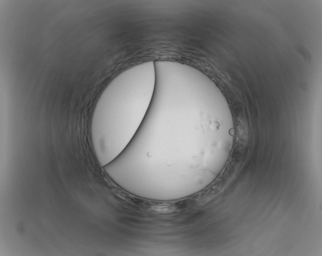 X0000113600659200909181110