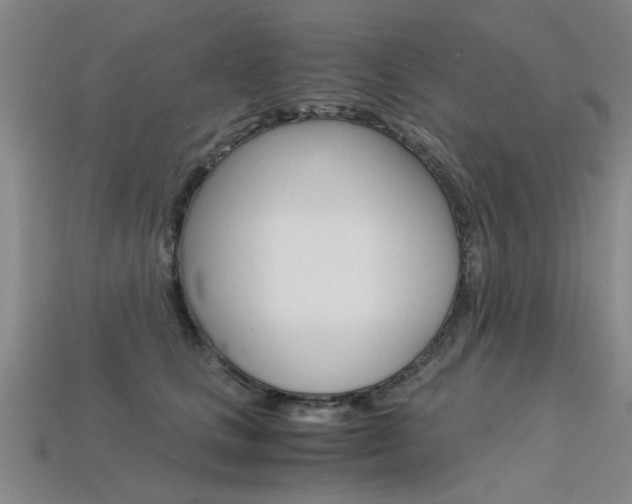 X0000113600661200909181110