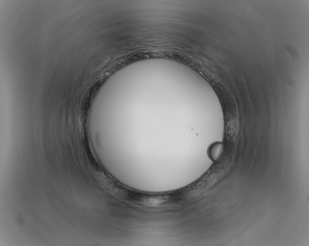 X0000113600662200909181110
