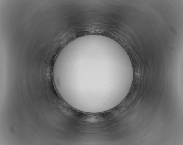 X0000113600663200909181110