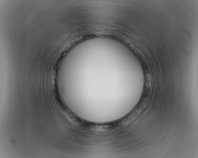 X0000113600664200909181110