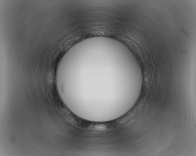 X0000113600665200909181110