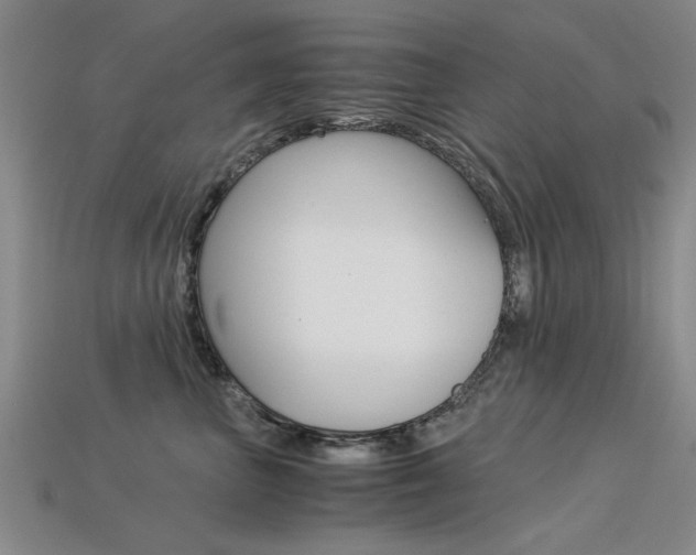 X0000113600667200909181110