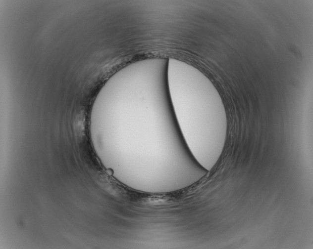 X0000113600668200909181110