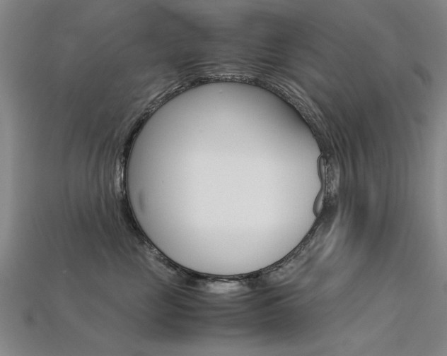 X0000113600669200909181110