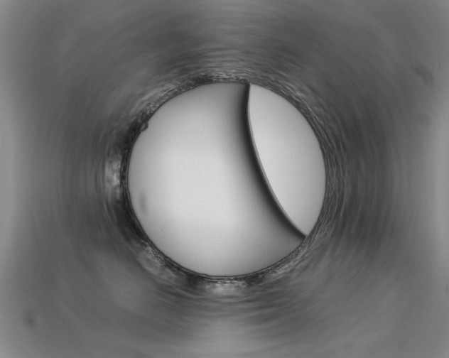 X0000113600670200909181110