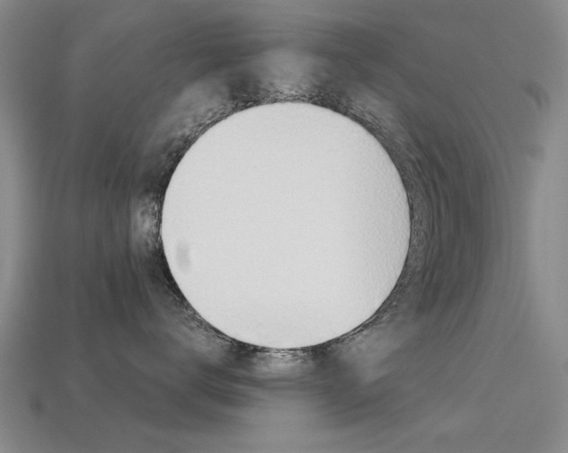 X0000113600672200909181110