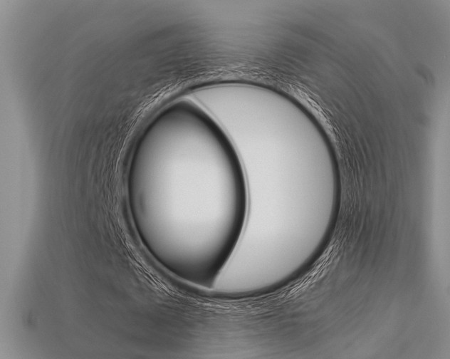 X0000113600673200909181109