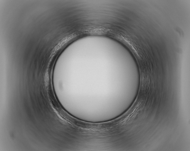 X0000113600674200909181109