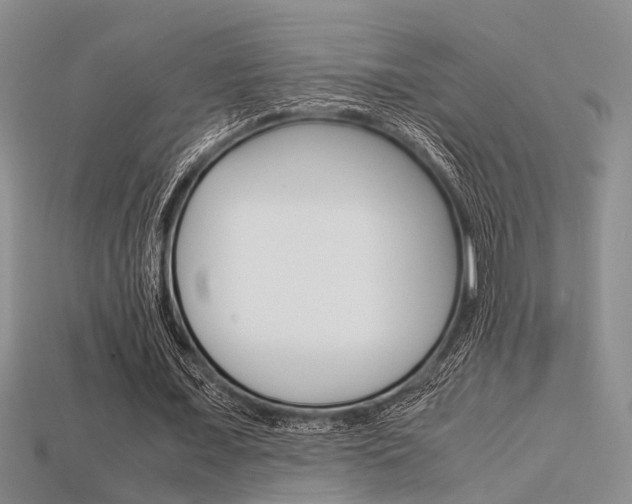 X0000113600675200909181109