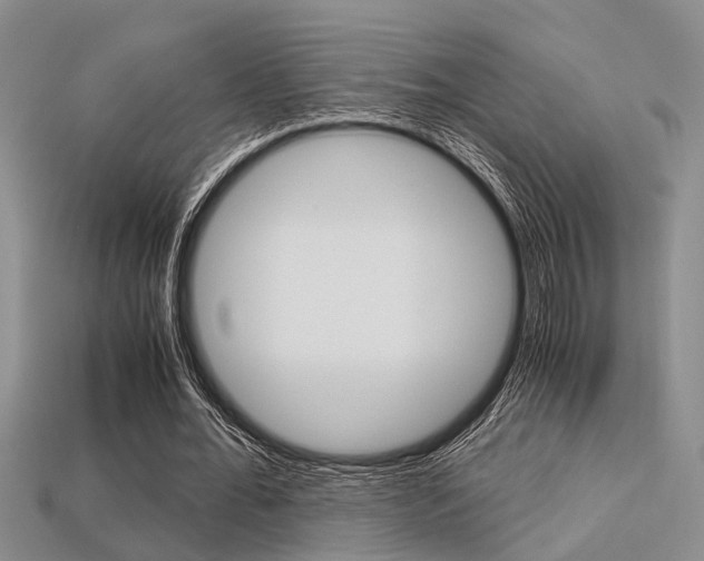 X0000113600676200909181109