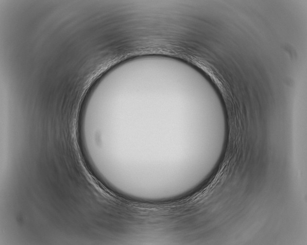 X0000113600677200909181109