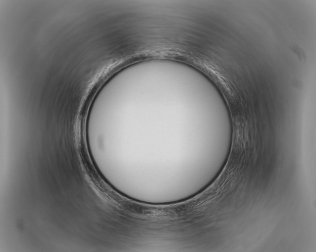 X0000113600678200909181109
